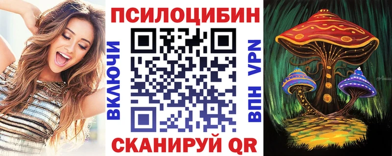 Купить  Балахна  Галлюциногенные грибы Psilocybine cubensis 